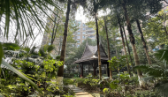 沙巴